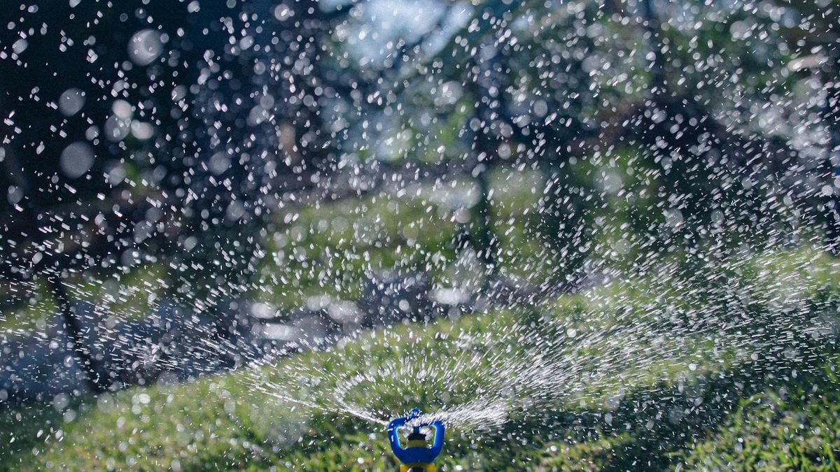 Rotor sprinkler head spraying water across a green lawn in bright sunlight