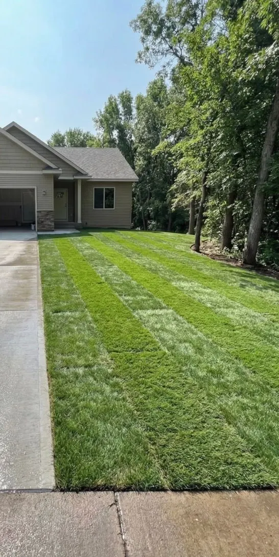 New construction yard after: freshly laid sod lawn with visible seams rooting in