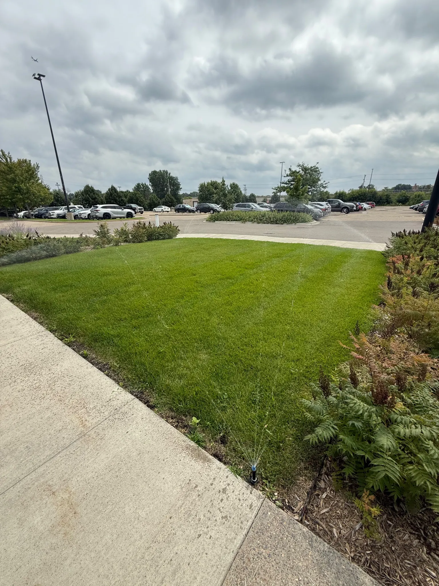 Commercial parking lot sprinkler system